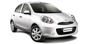 Mini Car