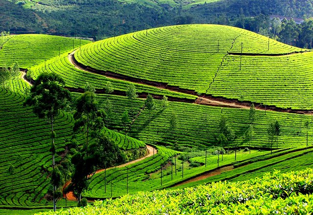 Kerala Tour Packages